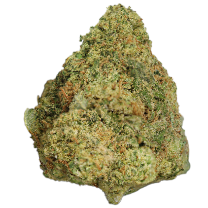 Super Glue Weed Strain