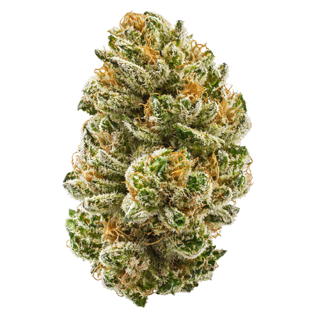 Grape Gas Ice Cream Strain	