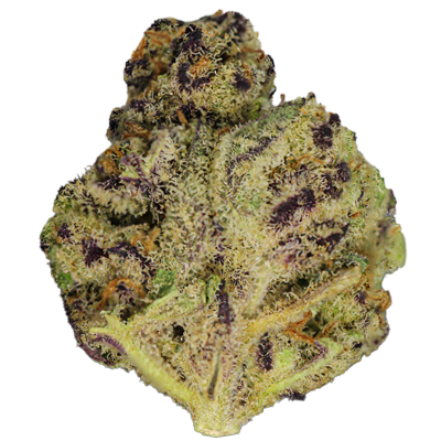 Grape Cream Weed Strain