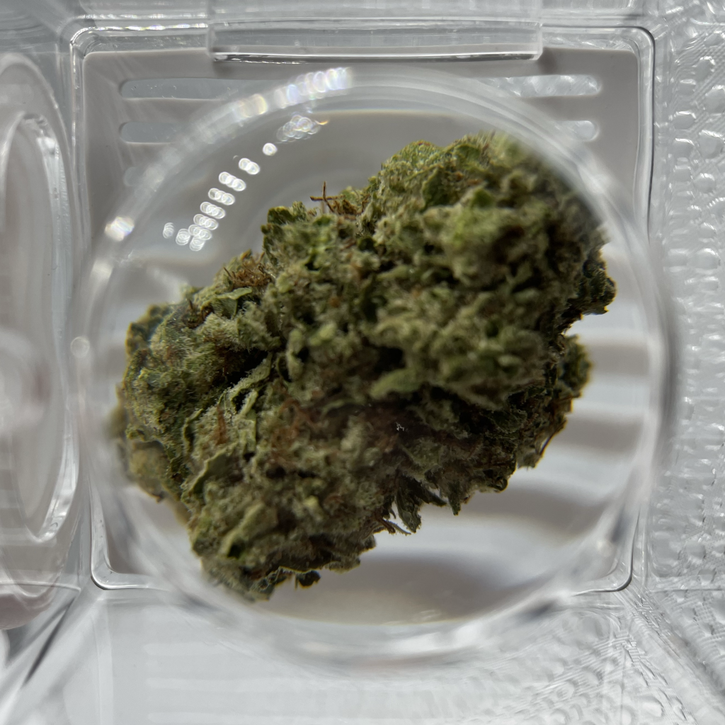 Gelato Mintz Strain Weed