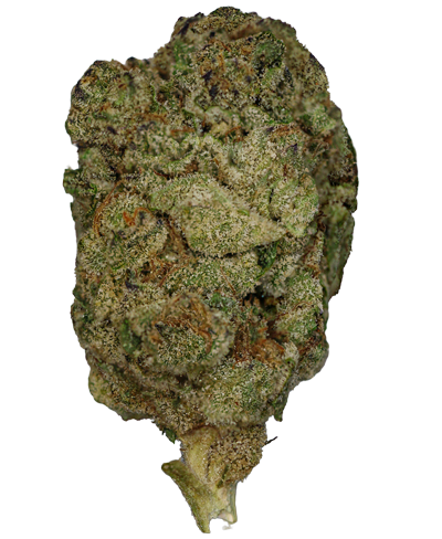 Animal Mintz Weed Strain