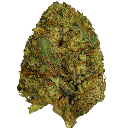 Pineapple Express Weed Strain