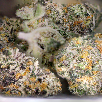 Rainbow Gas Weed Strain