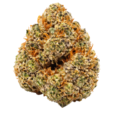 Grape Gas Guava Strain	