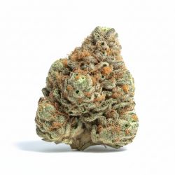 Cherry Gelato Strain