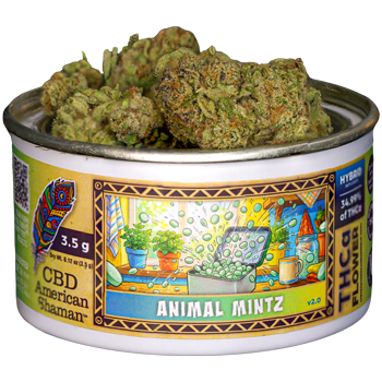 Animal Mintz Weed Strain