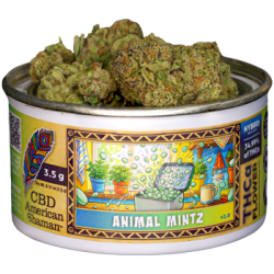Animal Mintz Weed Strain