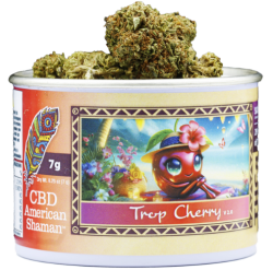 Tropicana Cherry Weed Strain