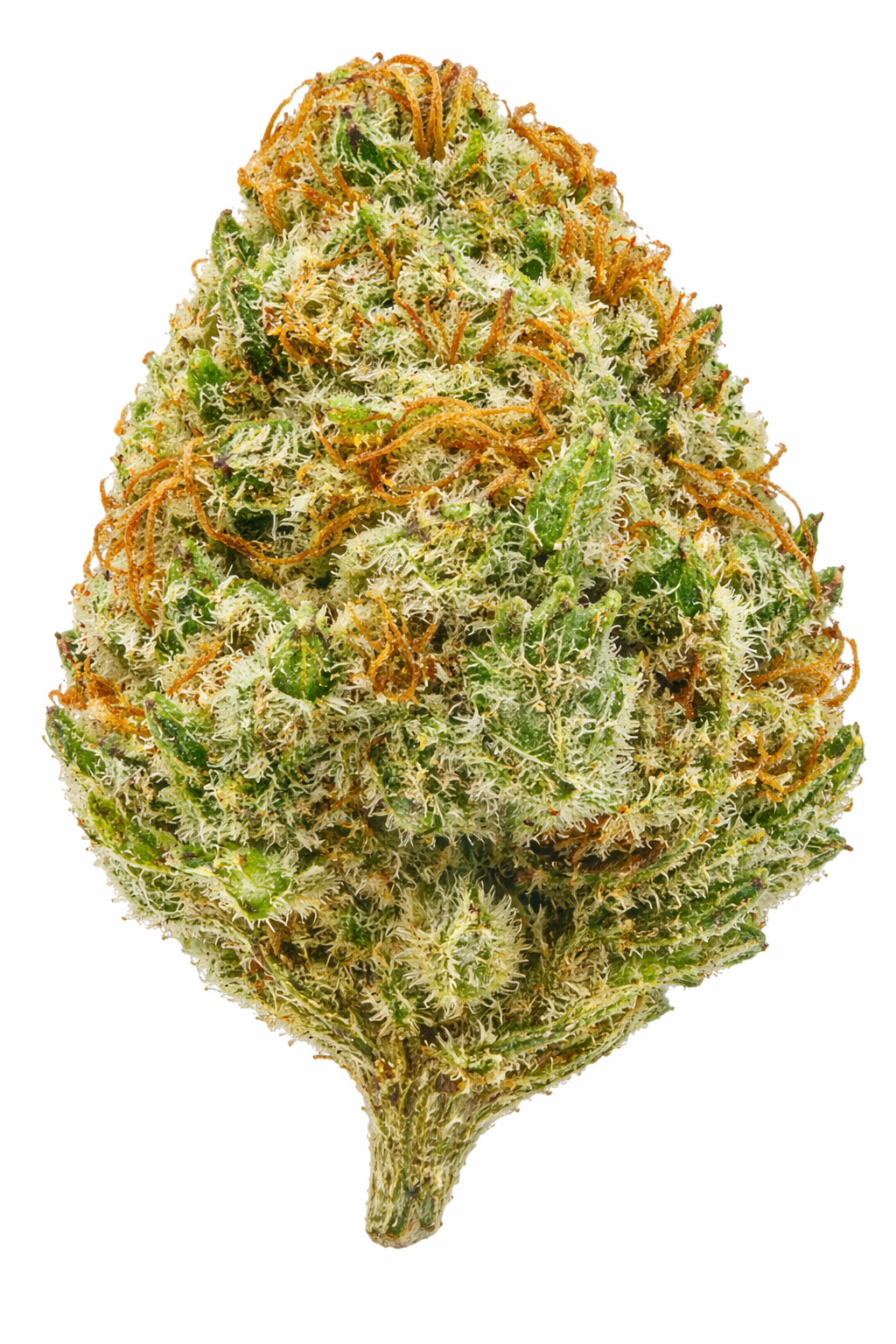 Guava Berries Strain